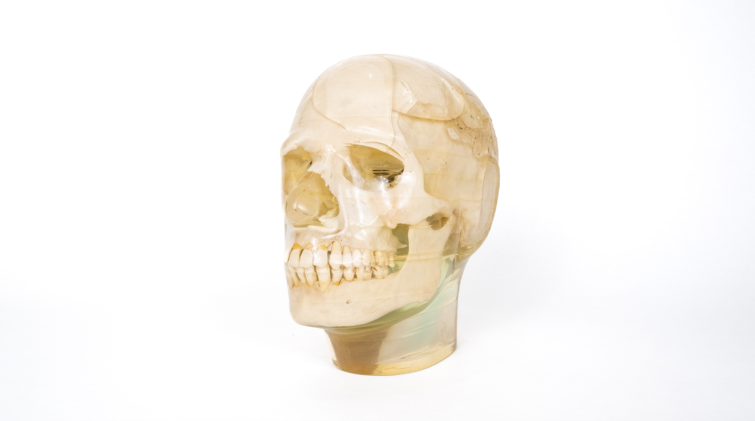 Skeleton Base Phantom Glow Amon 約30cm Skeleton Base Phantom Glow Amon 約30cm Advanced Electron